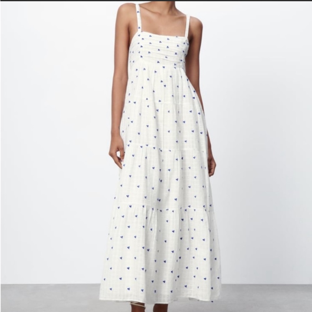 NWT Zara embroidered maxi dress, size XS